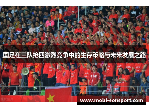 国足在三队抢四激烈竞争中的生存策略与未来发展之路