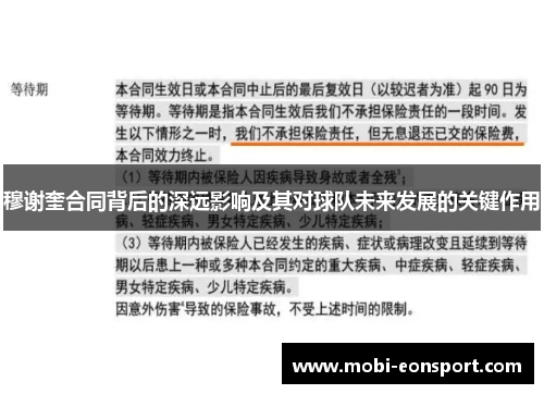 穆谢奎合同背后的深远影响及其对球队未来发展的关键作用