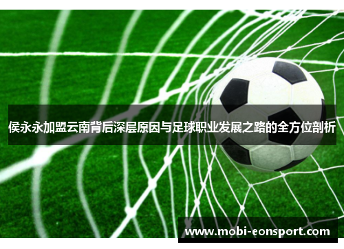 侯永永加盟云南背后深层原因与足球职业发展之路的全方位剖析