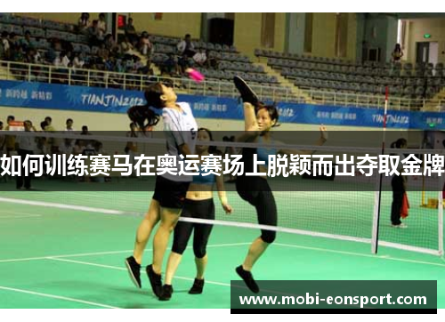 如何训练赛马在奥运赛场上脱颖而出夺取金牌