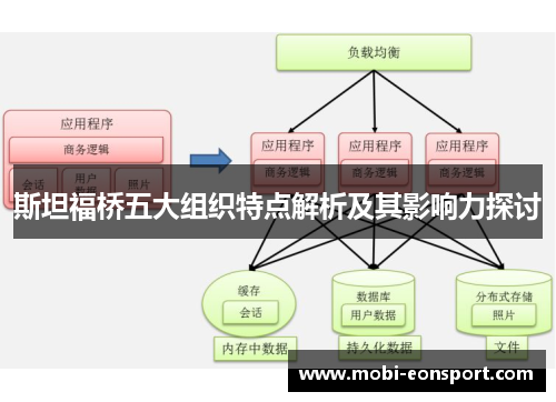 斯坦福桥五大组织特点解析及其影响力探讨