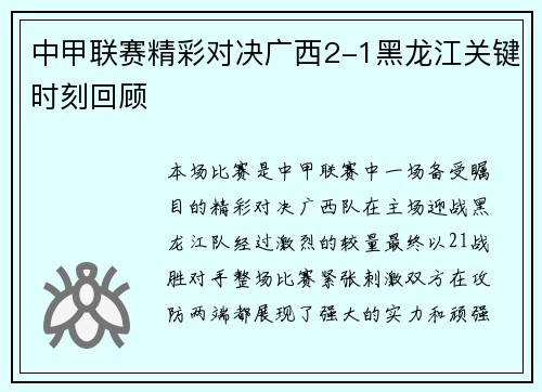 中甲联赛精彩对决广西2-1黑龙江关键时刻回顾