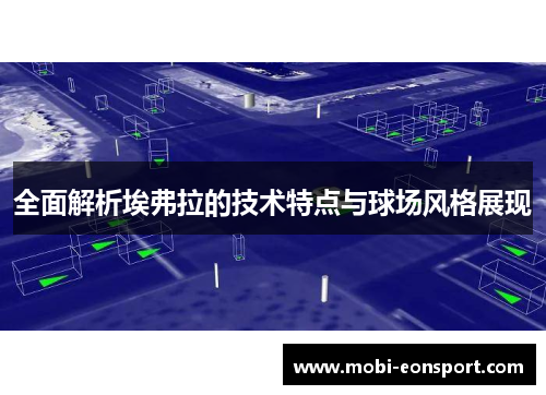 全面解析埃弗拉的技术特点与球场风格展现 全面解析埃弗拉的技术特点与球场风格展现