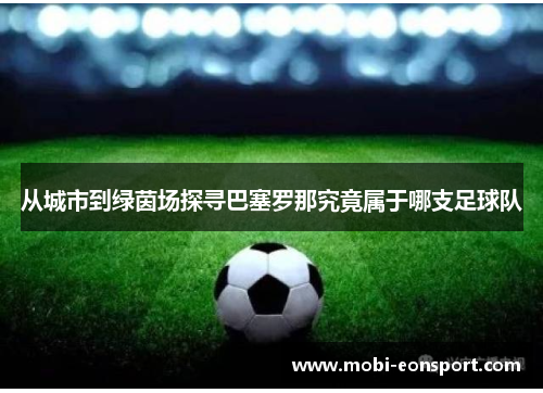 从城市到绿茵场探寻巴塞罗那究竟属于哪支足球队 从城市到绿茵场探寻巴塞罗那究竟属于哪支足球队